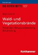 Wald- und Vegetationsbrände