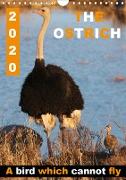 THE OSTRICH A bird which cannot fly (Wall Calendar 2020 DIN A4 Portrait)
