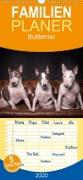 Bullterrier - Familienplaner hoch (Wandkalender 2020 , 21 cm x 45 cm, hoch)