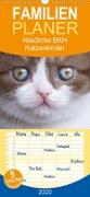 Niedliche BKH Katzenkinder - Familienplaner hoch (Wandkalender 2020 , 21 cm x 45 cm, hoch)