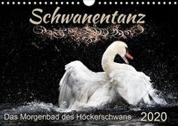 Das Morgenbad des Höckerschwans (Wandkalender 2020 DIN A4 quer)