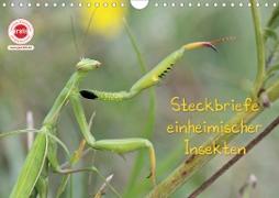 GEOclick Lernkalender: Insekten (Wandkalender 2020 DIN A4 quer)