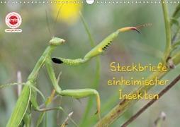 GEOclick Lernkalender: Insekten (Wandkalender 2020 DIN A3 quer)