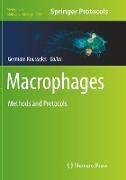 Macrophages