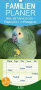 Blaustirnamazonen - Papageien in Paraguay - Familienplaner hoch (Wandkalender 2020 , 21 cm x 45 cm, hoch)