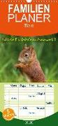 Wilde Eichhörnchenwelt! - Familienplaner hoch (Wandkalender 2020 , 21 cm x 45 cm, hoch)