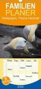 Galapagos. Fauna hautnah - Familienplaner hoch (Wandkalender 2020 , 21 cm x 45 cm, hoch)