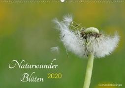 Naturwunder Blüten (Wandkalender 2020 DIN A2 quer)
