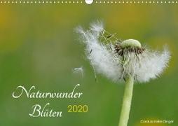 Naturwunder Blüten (Wandkalender 2020 DIN A3 quer)
