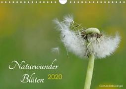 Naturwunder Blüten (Wandkalender 2020 DIN A4 quer)