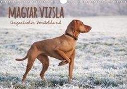 Magyar Vizsla - Ungarischer Vorstehhund (Wandkalender 2020 DIN A4 quer)