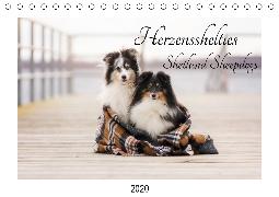 Herzensshelties - Shetland Sheepdogs (Tischkalender 2020 DIN A5 quer)