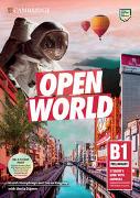 Open World Preliminary