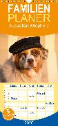 Australian Shepherd - Familienplaner hoch (Wandkalender 2020 , 21 cm x 45 cm, hoch)