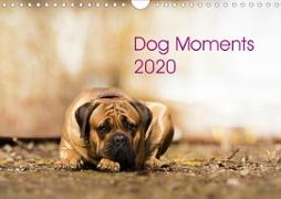 Dog Moments 2020 (Wandkalender 2020 DIN A4 quer)