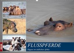 Hippos im südlichen Afrika (Wandkalender 2020 DIN A2 quer)