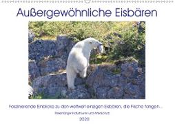 Das Leben der etwas "anderen" Eisbären! (Wandkalender 2020 DIN A2 quer)