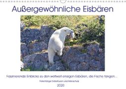Das Leben der etwas "anderen" Eisbären! (Wandkalender 2020 DIN A3 quer)