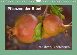 Pflanzen der Bibel (Wandkalender 2020 DIN A4 quer)