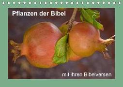 Pflanzen der Bibel (Tischkalender 2020 DIN A5 quer)