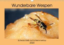 Wunderbare Wespen - Schwarz-Gelb auf Schlemmertour (Wandkalender 2020 DIN A3 quer)