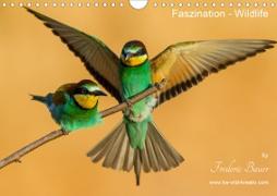 Faszination - Wildlife (Wandkalender 2020 DIN A4 quer)