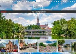 Ulm für Nestspatzen (Wandkalender 2020 DIN A4 quer)