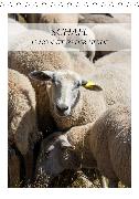 Schafe - 12 Monate in der Herde (Tischkalender 2020 DIN A5 hoch)