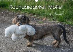 Rauhaardackel Motte & Friends (Wandkalender 2020 DIN A3 quer)