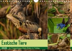 Exotische Tiere im Tropenhaus Klein Eden in Tettau (Wandkalender 2020 DIN A4 quer)