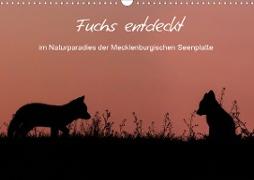 Fuchs entdeckt - im Naturparadies der Mecklenburgischen Seenplatte (Wandkalender 2020 DIN A3 quer)