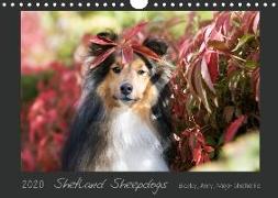 Shetland Sheepdogs Blacky, Anry, Mojo Sheltielife 2020 (Wandkalender 2020 DIN A4 quer)