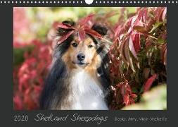 Shetland Sheepdogs Blacky, Anry, Mojo Sheltielife 2020 (Wandkalender 2020 DIN A3 quer)