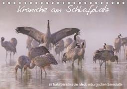 Kraniche am Schlafplatz - im Naturparadies der Mecklenburgischen Seenplatte (Tischkalender 2020 DIN A5 quer)