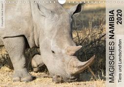 Magisches Namibia - Tiere und LandschaftenCH-Version (Wandkalender 2020 DIN A4 quer)