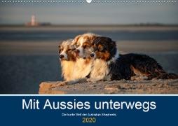 Mit Aussies unterwegs - Die bunte Welt der Australian Shepherds (Wandkalender 2020 DIN A2 quer)