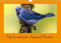 Vögel im atlantischen Regenwald Brasiliens (Wandkalender 2020 DIN A4 quer)