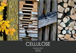 Cellulose, Cellulose in Urform (Wandkalender 2020 DIN A2 quer)