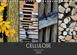 Cellulose, Cellulose in Urform (Wandkalender 2020 DIN A4 quer)