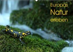 Europas Natur erleben (Wandkalender 2020 DIN A2 quer)