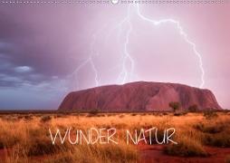 Wunder Natur II (Wandkalender 2020 DIN A2 quer)