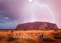 Wunder Natur II (Wandkalender 2020 DIN A4 quer)