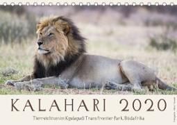 Kalahari - Tierreichtum im Kgalagadi Transfrontier Park, Südafrika (Tischkalender 2020 DIN A5 quer)