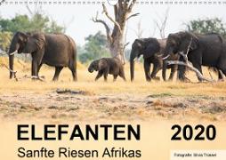 Elefanten - Sanfte Riesen Afrikas (Wandkalender 2020 DIN A3 quer)