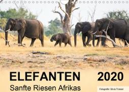 Elefanten - Sanfte Riesen Afrikas (Wandkalender 2020 DIN A4 quer)