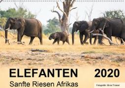 Elefanten - Sanfte Riesen Afrikas (Wandkalender 2020 DIN A2 quer)