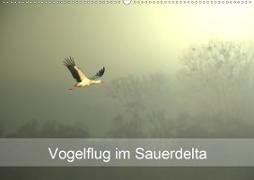 Vogelflug im Sauerdelta (Wandkalender 2020 DIN A2 quer)