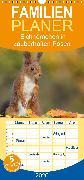 Eichhörnchen in zauberhaften Posen - Familienplaner hoch (Wandkalender 2020 , 21 cm x 45 cm, hoch)
