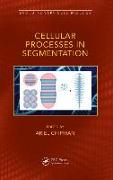 Cellular Processes in Segmentation