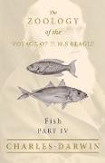 Fish - Part IV - The Zoology of the Voyage of H.M.S Beagle , Under the Command of Captain Fitzroy - During the Years 1832 to 1836